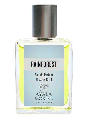Rainforest - جنگل بارانی
