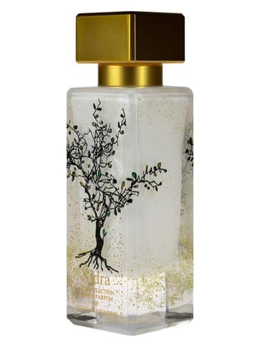 Sidra - سیدرا