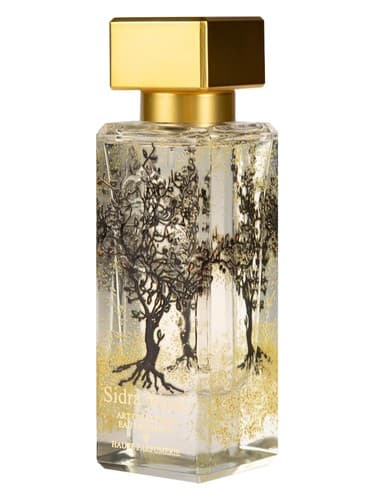 Sidra Wood - سیدرا وود