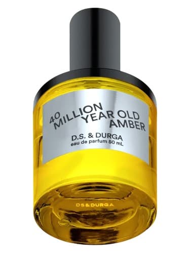 40 Million Year Old Amber - کهربای 40 میلیون ساله