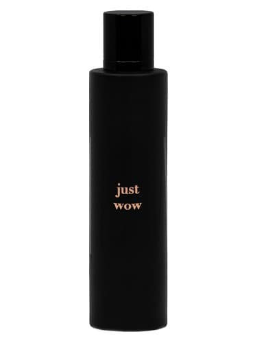 Just Wow - فقط وای