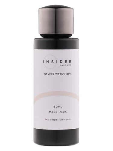 Damber Wabsolute