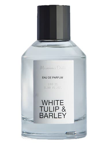 White Tulip & Barley - لاله وایت و جو