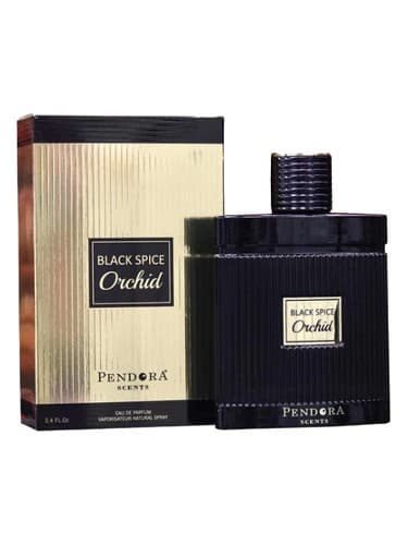 Black Spice Orchid Pendora