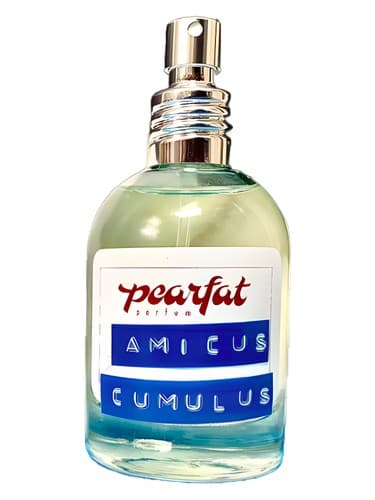 Amicus Cumulus