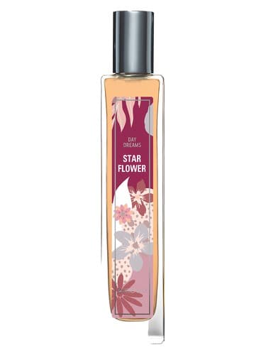 Star Flower - گل استار