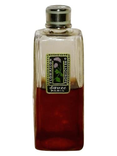Floraison d'Heliotrope - فلورازون هلیوتروپ