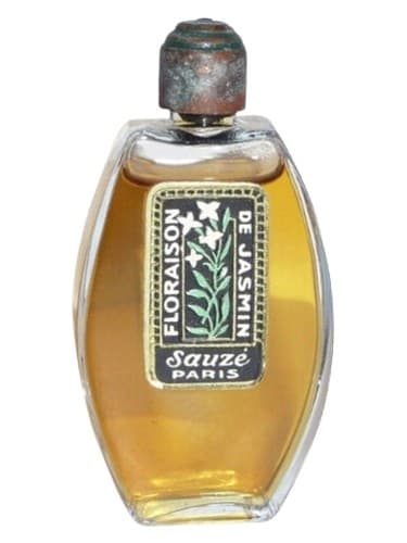 Floraison de Jasmin