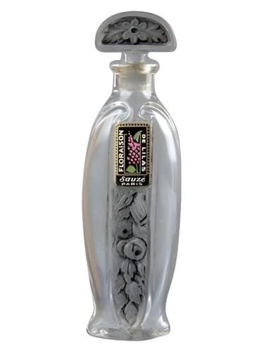 Floraison de Lilas - فلورایسون دی لیلاس