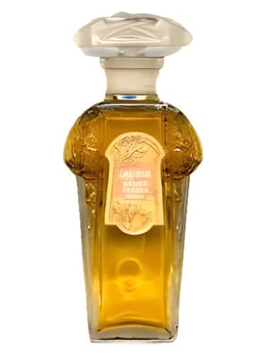 Lauris - لوریس