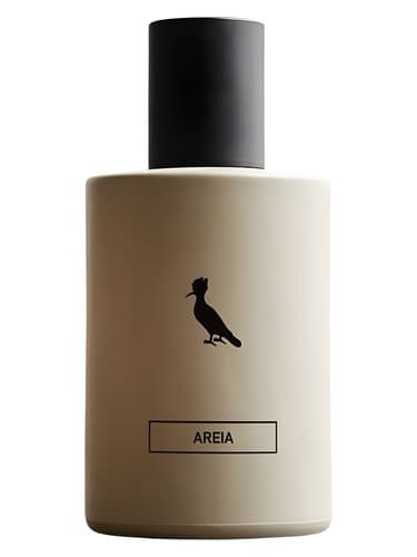 Areia - آریا