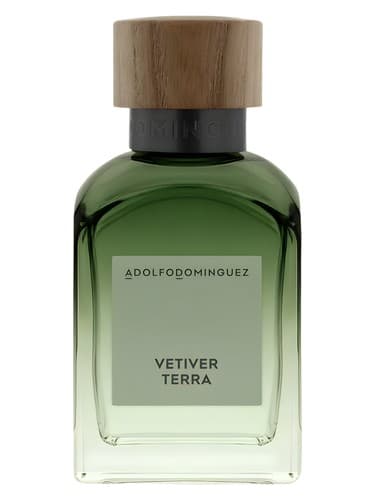 Vetiver Terra - وتیور ترا