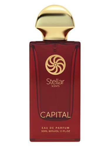 Capital - سرمایه