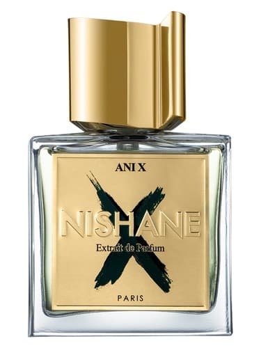 Ani X - آنی ایکس