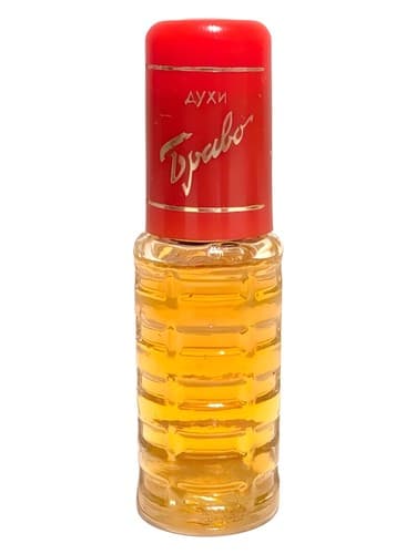 Браво (Bravo)