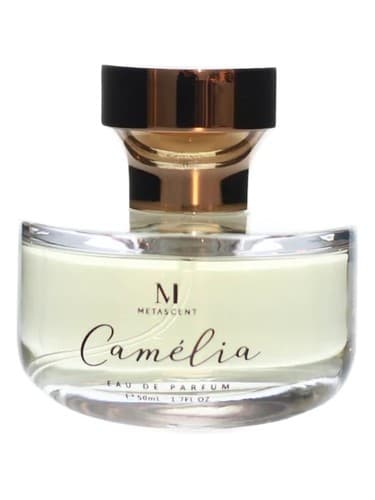 Camelia - کاملیا