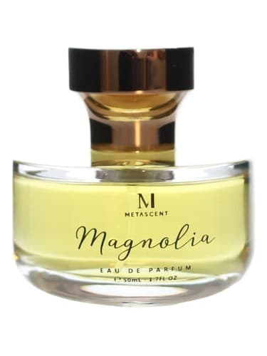 Magnolia - مگنولیا