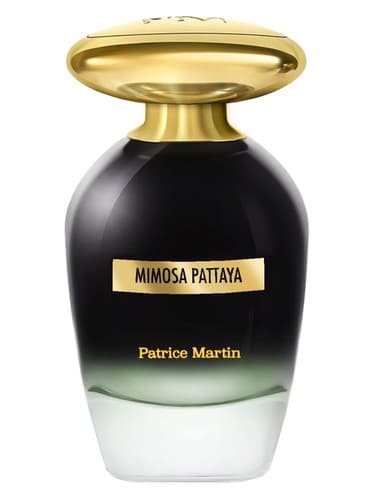 Mimosa Pattaya - میموسا پاتایا