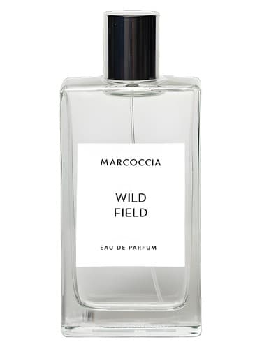 Wild Field - میدان وایلد
