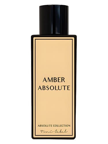 Amber Absolute - امبر مطلق