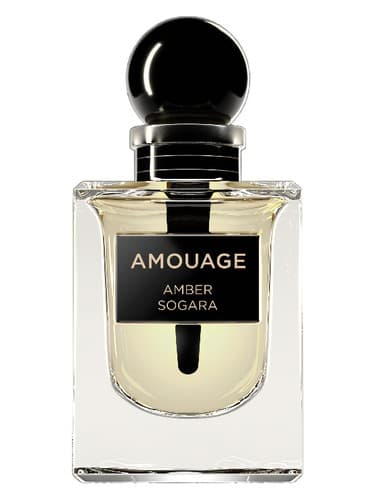 Amber Sogara - امبر سوگارا