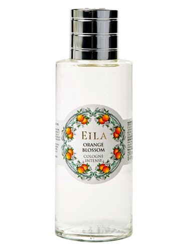 Orange Blossom - شکوفه اورنج