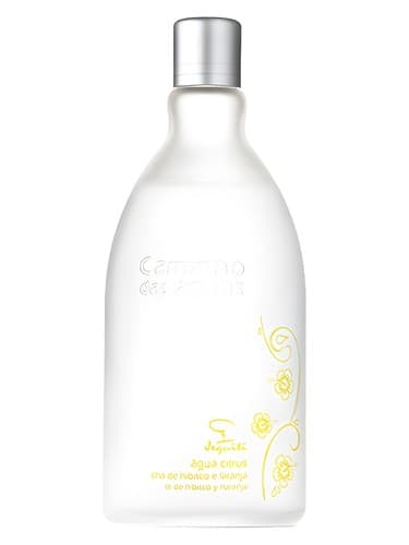 Água Citrus Chá de Hibisco e Laranja