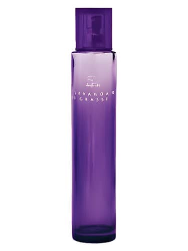 Lavanda de Grasse