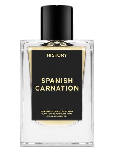 Spanish Carnation - میخک اسپانیایی