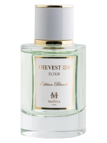 Thevest 1981