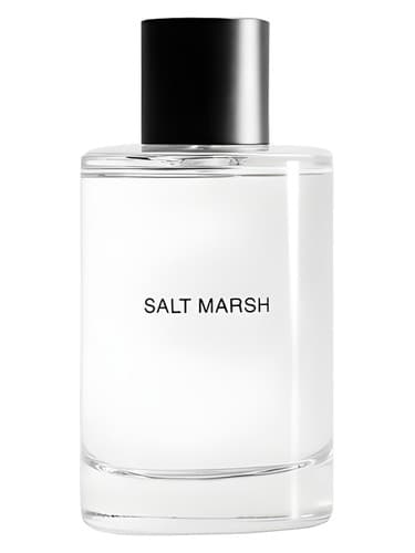 Salt March - مارس نمک