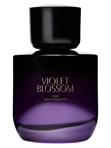 04 Violet Blossom - 04 شکوفه بنفشه