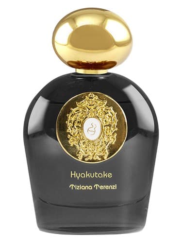 Hyakutake - هیکوتاکه