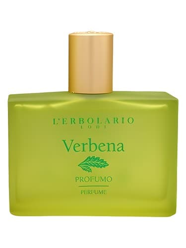 Verbena