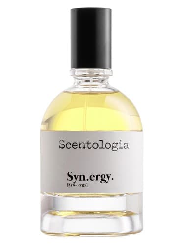 Syn.ergy 
