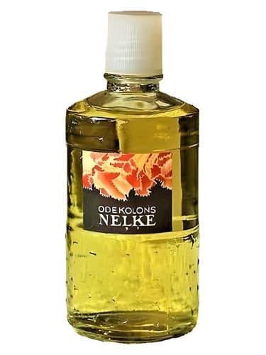 Neļķe (Гвоздика)
