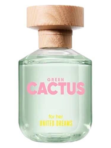 United Dreams Green Cactus For Her - کاکتوس گرین United Dreams For Her