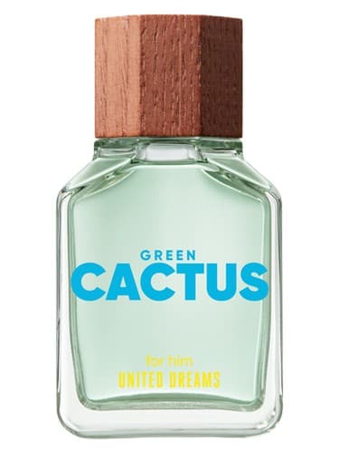 United Dreams Green Cactus For Him - کاکتوس گرین United Dreams For H