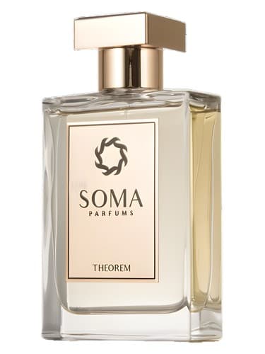 Theorem - قضیه