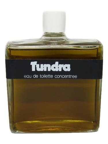 Tundra - توندرا