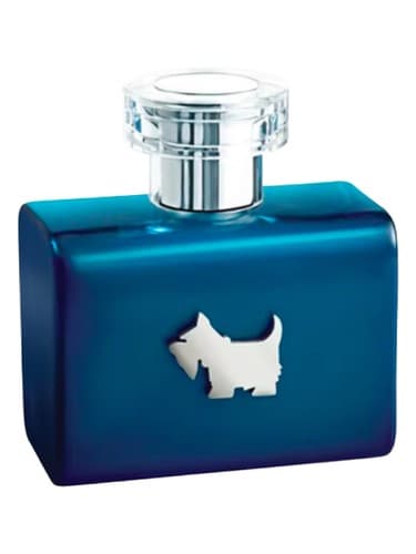 Terrier Blue - بلو تریر