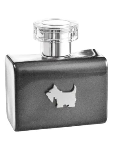Terrier Grey