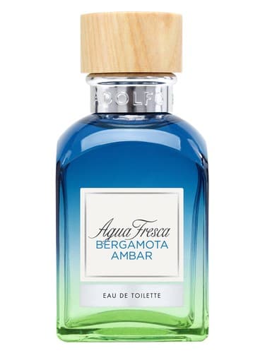 Bergamota Ámbar - برگاموتا Ámbar