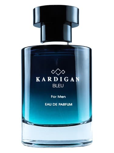 Kardigan Bleu - کاردیگان بلو