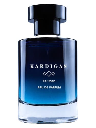 Kardigan - کاردیگان