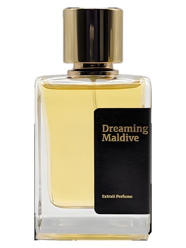 Dreaming Maldive - رویایی مالدیو