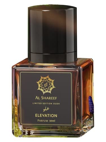 Elevation Parfum - عطر الویشن