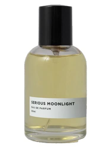 Serious Moonlight - جدی مهتاب