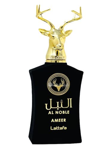 Ameer - عامر