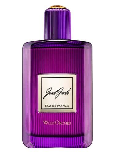 Wild Orchid